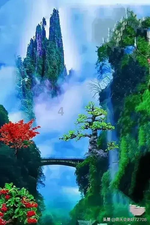 春雨直播app