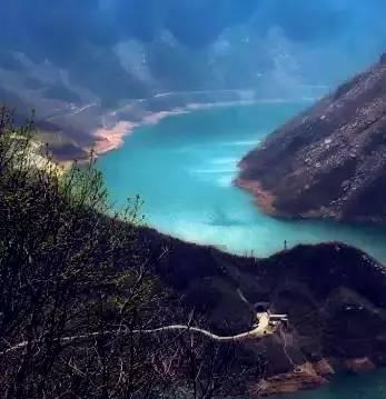 虫虫助手下载