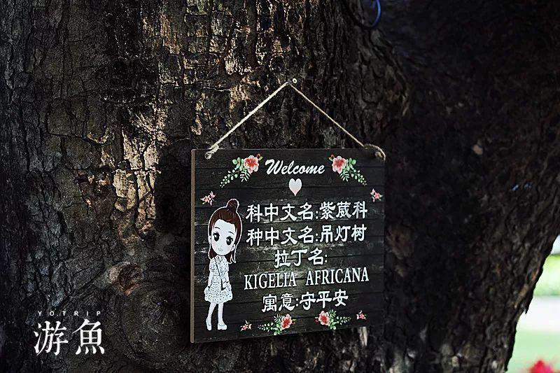注意防滑！宁夏发布道路结冰黄色预警