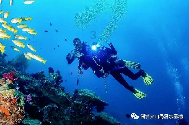 《幻兽帕鲁》企丸王位置介绍