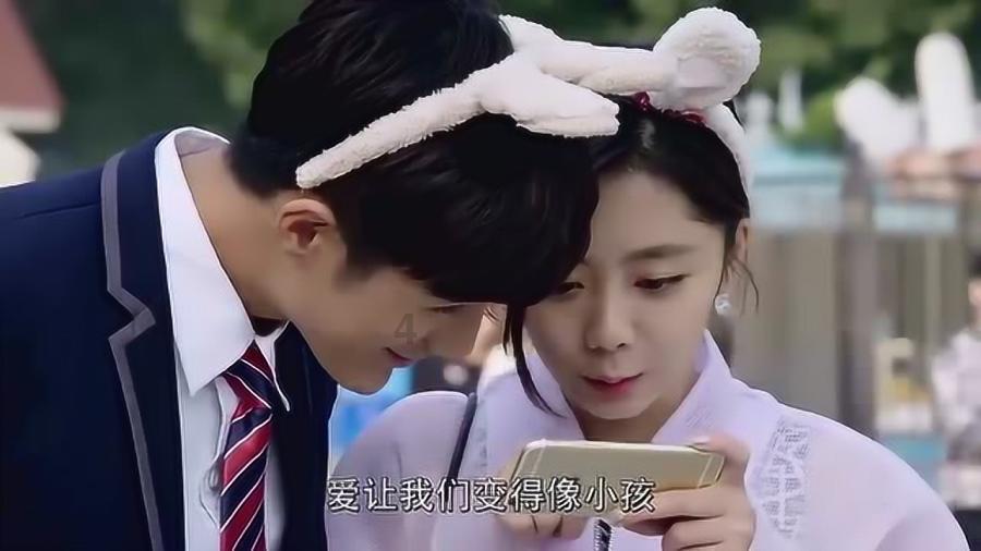 可爱的小考拉