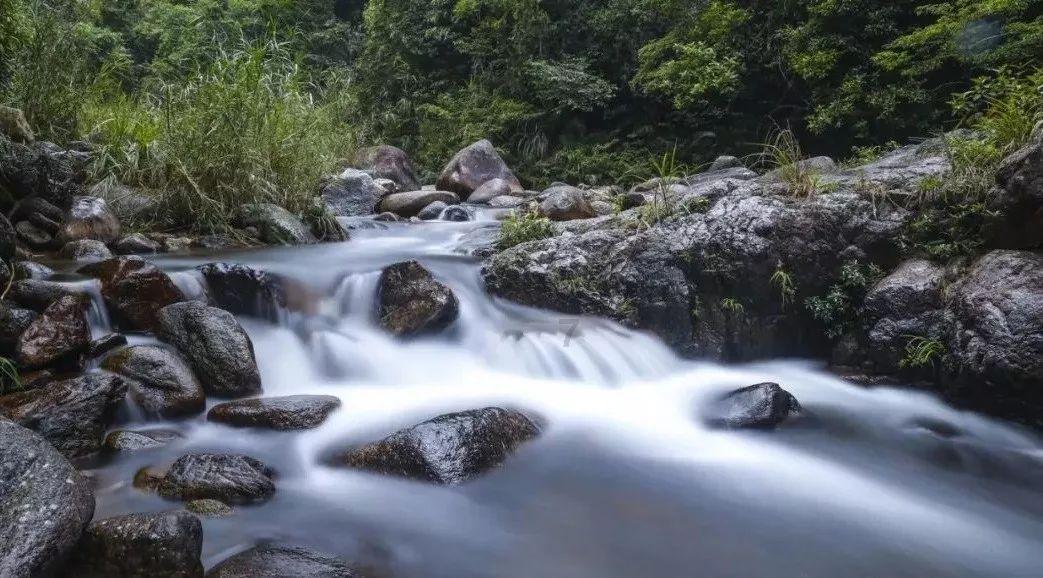 加菠萝的菠萝包好吃吗游戏画面