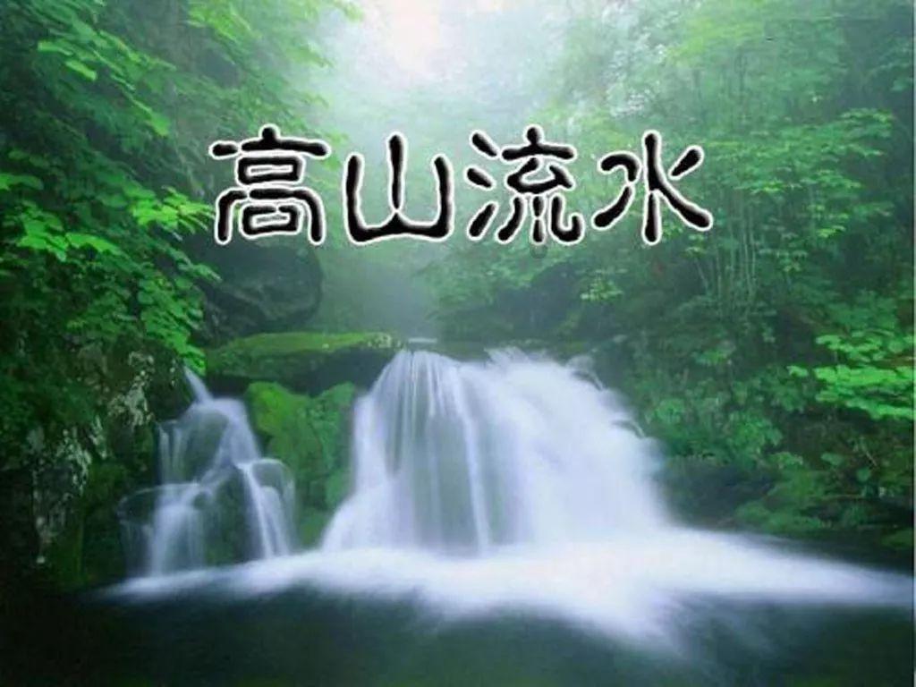 萌犬找不同